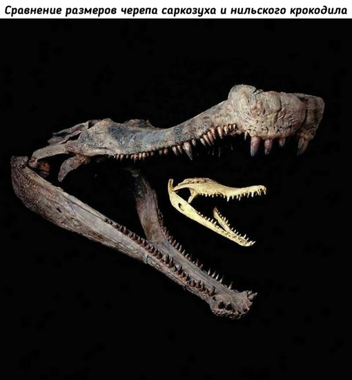 Прошлое нашей..6