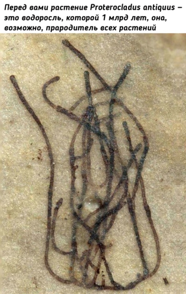 Прошлое нашей..0