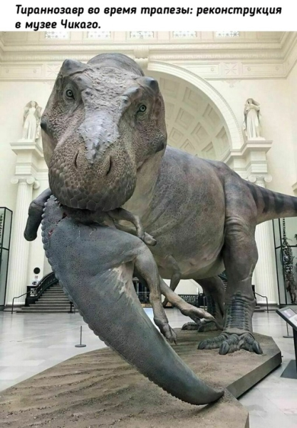 Прошлое нашей..3