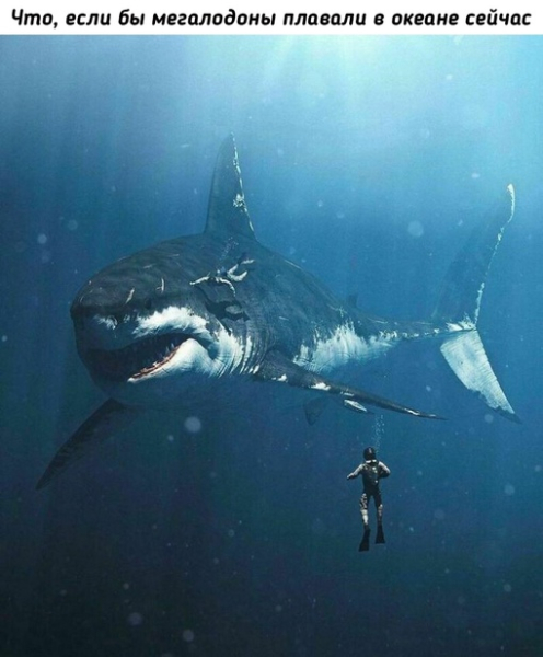 Прошлое нашей..4