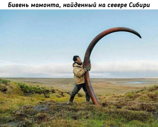 Прошлое нашей..7