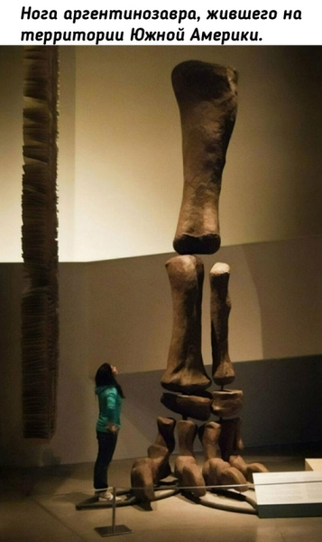 Прошлое нашей..5