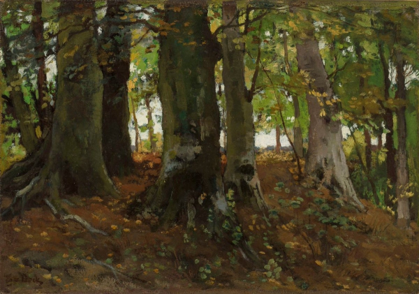 Работы нидерландского художника Théophile de Bock (1851-1904).

Больше..2