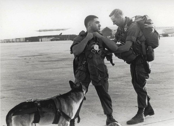 Сержант корпуса морской пехоты США Спэно и его пес Лобо..1