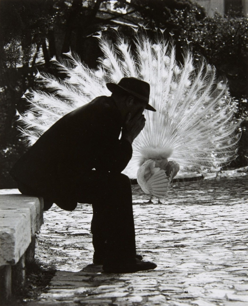 Уличная сцена, Лиссабон, 1969 год.

..0