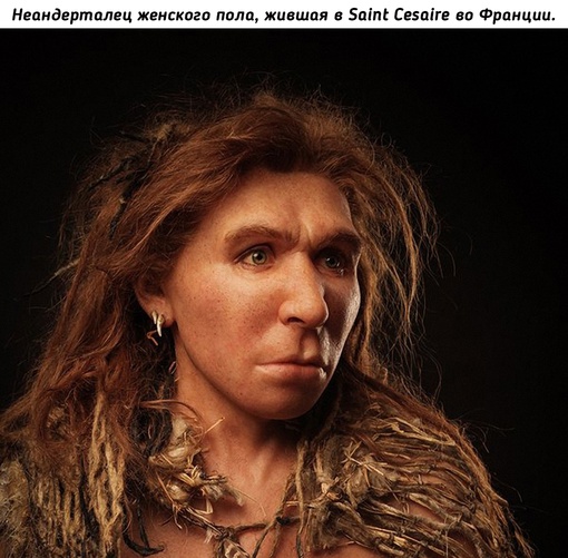 Благодаря искусству палео-художницы Elisabeth Daynès мы можем воочию..9