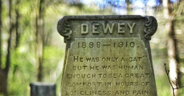 Дьюи («Пистолет»), 1898 – 1910 гг.
«Он был просто котом, но достаточно..0