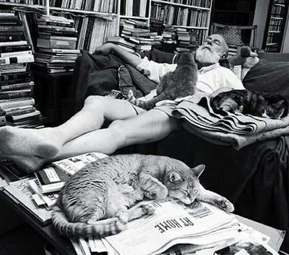 Эрнест Хемингуэй в рабочем кабинете в окружении любимых кошек...0