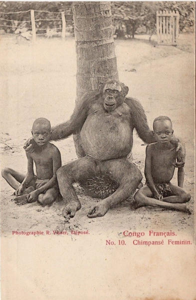 Французское Конго, 1880-е.

..0