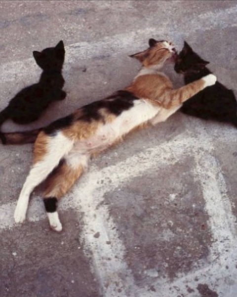 Отвлекитесь немного от мрачных..6