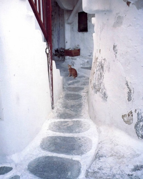 Отвлекитесь немного от мрачных..2