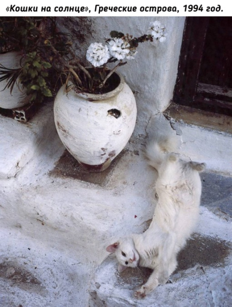 Отвлекитесь немного от мрачных..0