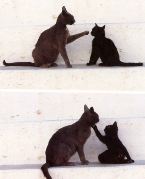 Отвлекитесь немного от мрачных..5