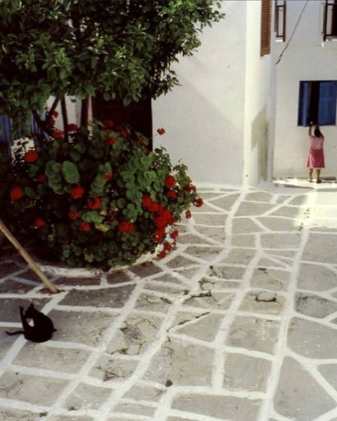 Отвлекитесь немного от мрачных..4