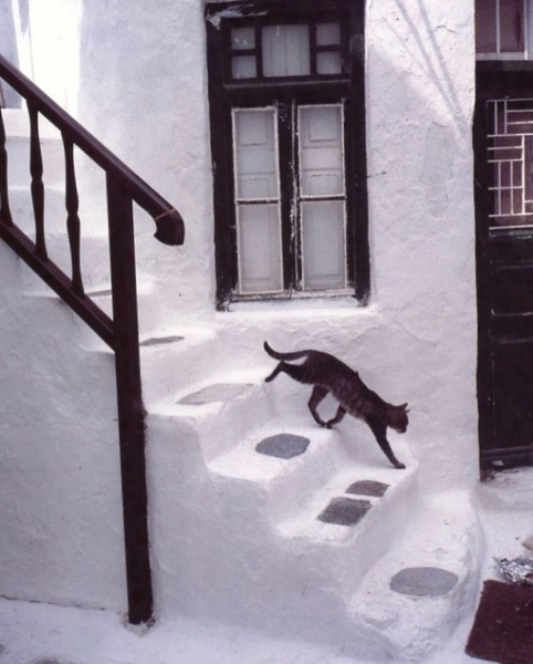 Отвлекитесь немного от мрачных..1