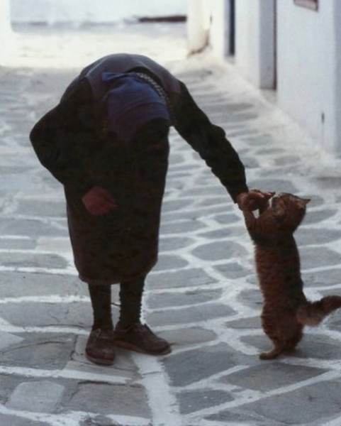 Отвлекитесь немного от мрачных..3