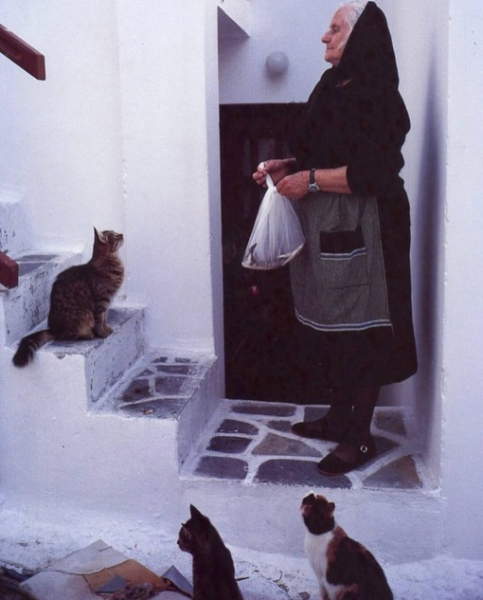 Отвлекитесь немного от мрачных..8