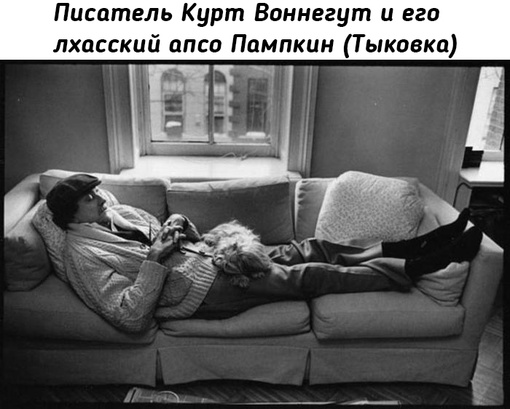 Теплые фотографии известных людей и их..6