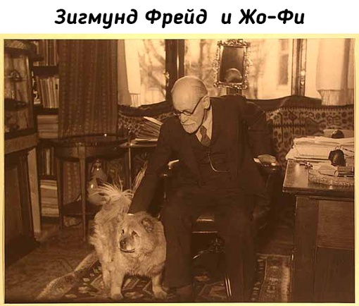 Теплые фотографии известных людей и их..5