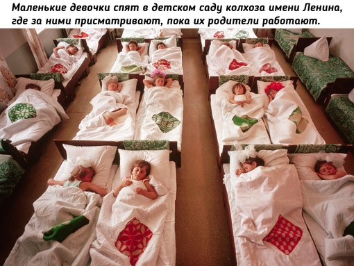 Уолли Макнейми в колхозе имени Ленина под..6