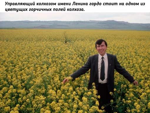 Уолли Макнейми в колхозе имени Ленина под..9