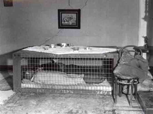 Во времена Второй Мировой войны, когда немцы стали использовать..1