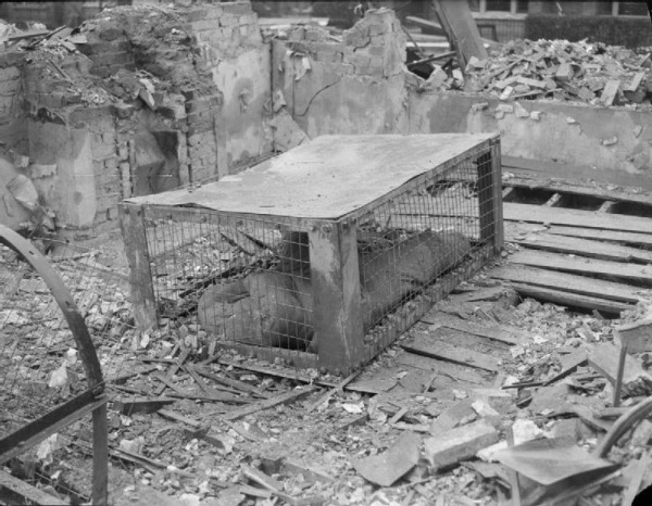 Во времена Второй Мировой войны, когда немцы стали использовать..4