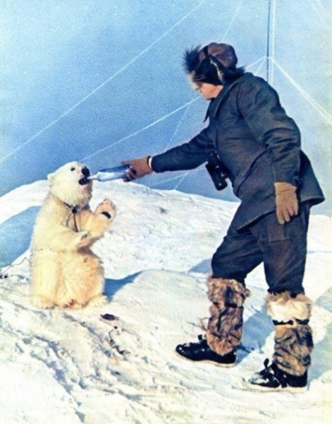 Врач Алексей Гаврилин и медвежонок Огонек на полярной станции СП..0