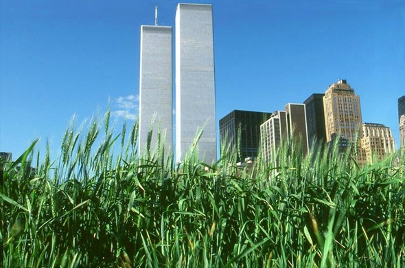 Агнес Денеc сеет пшеницу посреди Нью-Йорка.

Агнес Денеc,..4