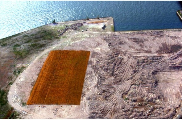 Агнес Денеc сеет пшеницу посреди Нью-Йорка.

Агнес Денеc,..6