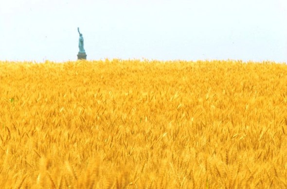 Агнес Денеc сеет пшеницу посреди Нью-Йорка.

Агнес Денеc,..5