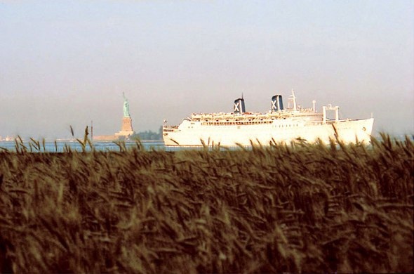 Агнес Денеc сеет пшеницу посреди Нью-Йорка.

Агнес Денеc,..7