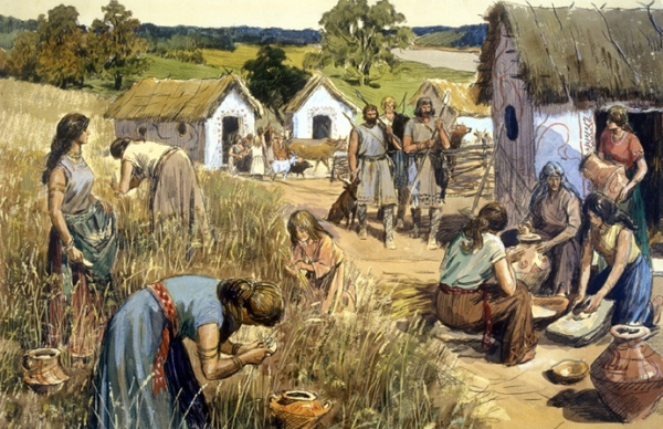 Белокожие красавцы, которые много пьют и гораздо хитрее евреев:..0