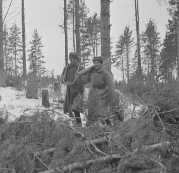 Двое красноармейцев, перешедшие на сторону финнов, захватив с..0