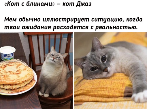 Герои известных мемов 