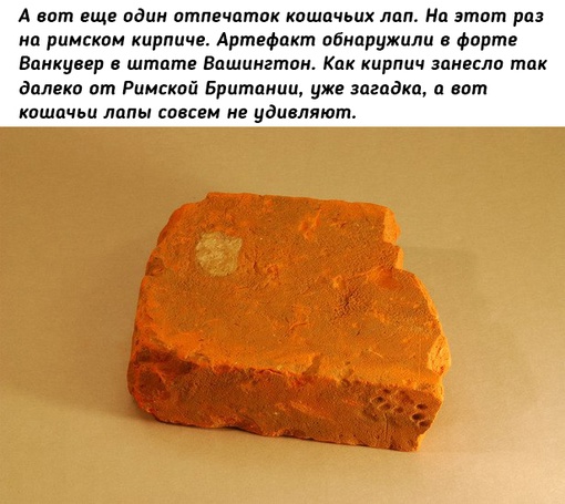 Как кошки в истории..2