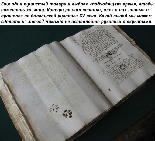 Как кошки в истории..1