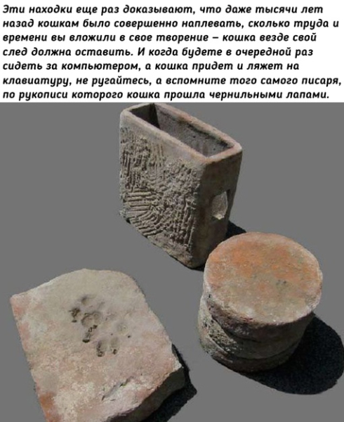 Как кошки в истории..4