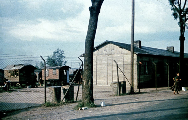 Немцы отправляют цыган в 