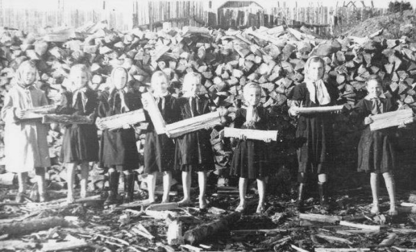 Пионерки на заготовке дров. СССР. 50-е.

..0