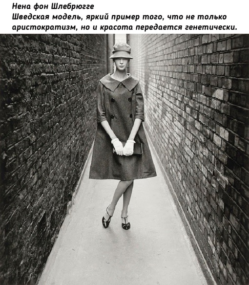 Самые популярные модели 1950-х..3