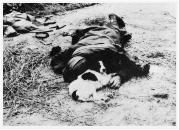 Собачка возле погибшего французского солдата, июнь 1940..0