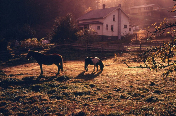Тихоокеанский северо-запад США в 1970-е годы.

Больше исторических..6