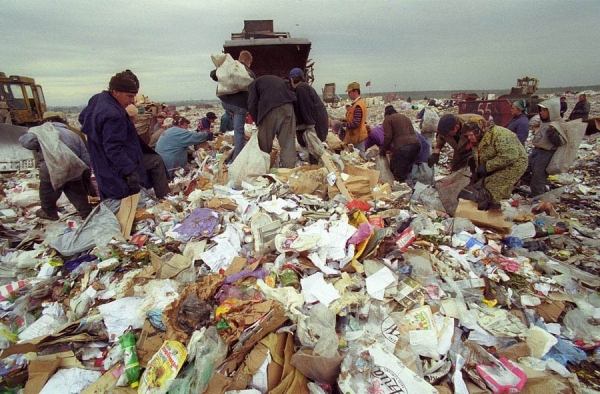 Всюду жизнь. Полигон. Свалка. Россия. 2003 – 2004 г. Фото Игоря..0