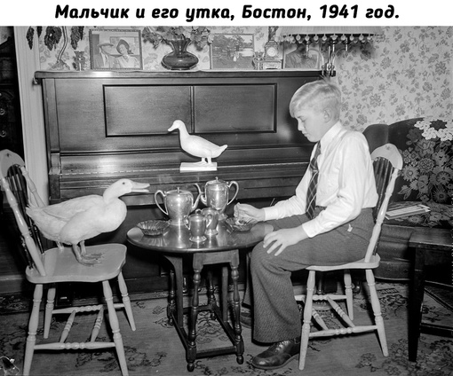 Идеальная..0
