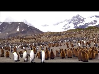 История Антарктиды - самый недооцененный континент..0