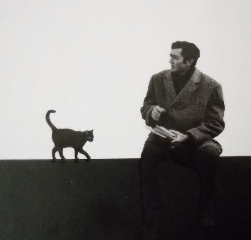 «Мы бродили по улицам и не искали друг друга, твёрдо зная: мы..0