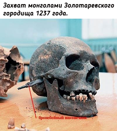 Останки воинов погибших от холодного оружия в разных..0