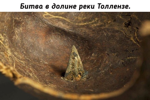 Останки воинов погибших от холодного оружия в разных..1