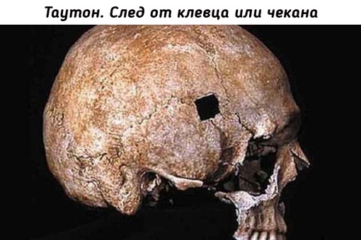 Останки воинов погибших от холодного оружия в разных..6